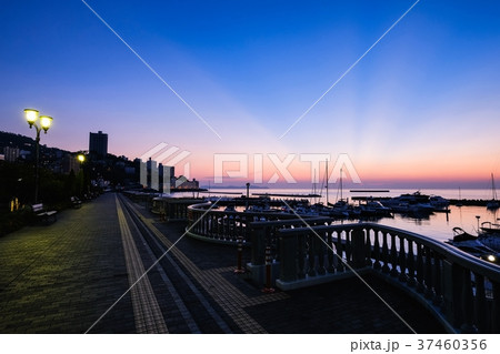 熱海の夜明け （８月） 37460356