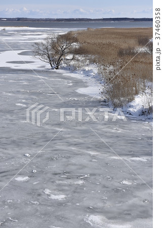 冬の小川原湖 37460358