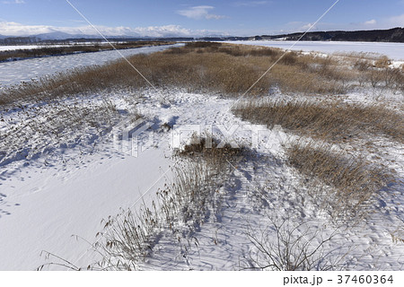 冬の小川原湖 37460364
