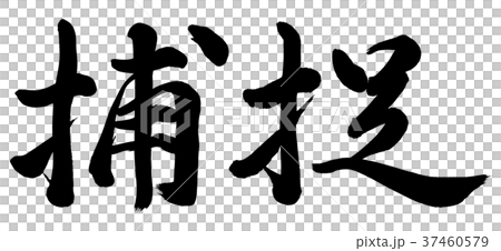 Capture Capture 37460579