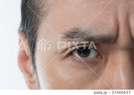 ミドル男性 37460637