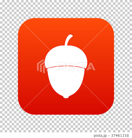 Acorn icon digital red Acorn icon digital red 37461158