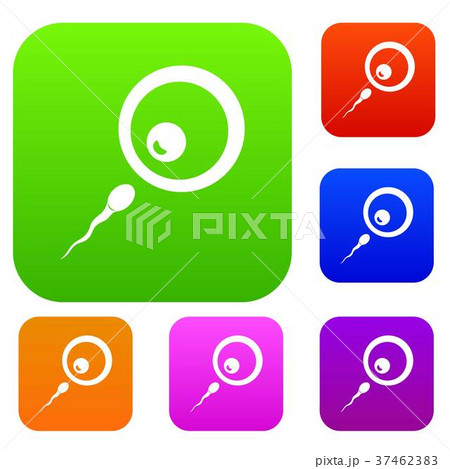 Donor sperm set color collection 37462383