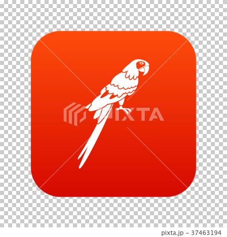 Brazilian parrot icon digital red Brazilian parrot icon digital red 37463194