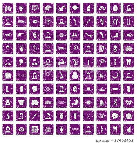 100 organ icons set grunge purple 37463452