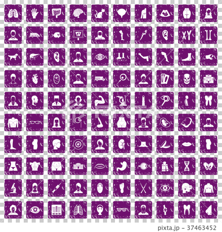 100 organ icons set grunge purple 100 organ icons set grunge purple 37463452