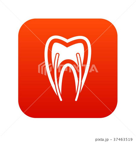 Tooth cross section icon digital red Tooth cross section icon digital red 37463519
