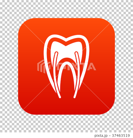 Tooth cross section icon digital red Tooth cross section icon digital red 37463519