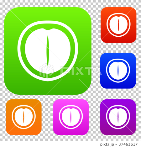 Macadamia nut set color collection 37463617