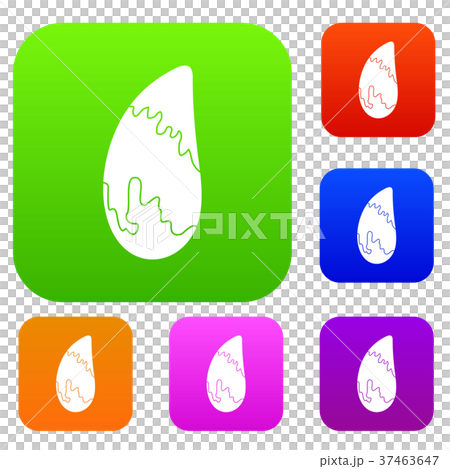 Brazil nut set color collection 37463647