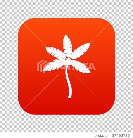 Palm tree with coconuts icon digital red 37463720