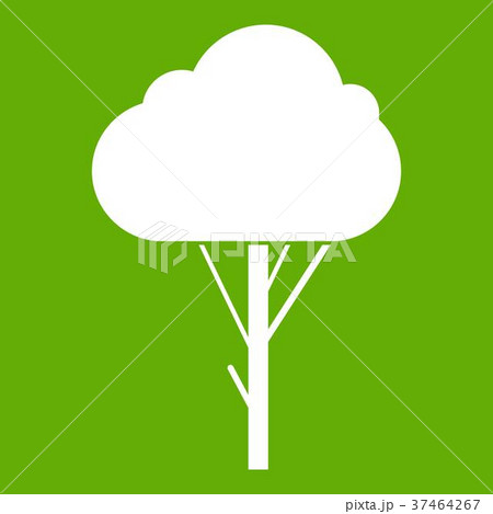 Tree icon green Tree icon green 37464267