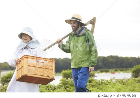 農家の女性と鍬を持つ外国人男性 37464668