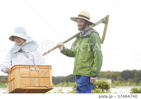 農家の女性と鍬を持つ外国人男性 農家の女性と鍬を持つ外国人男性 37464740