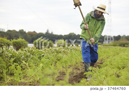 農業 鍬を持つ外国人男性の写真素材