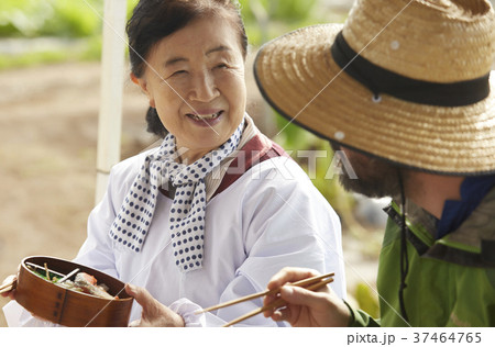 農業 休憩 昼食 外国人男性 農業 休憩 昼食 外国人男性 37464765