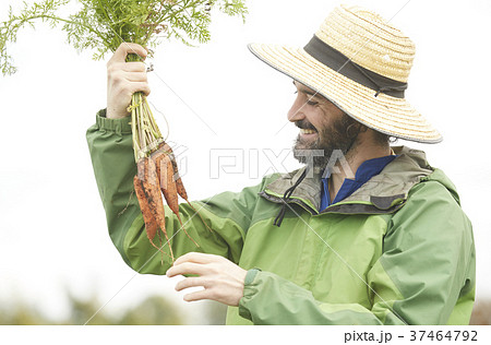 農業 野菜 収穫 外国人男性 農業 野菜 収穫 外国人男性 37464792