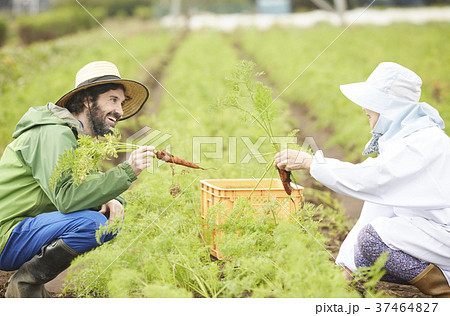 野菜 収穫 農家の女性と外国人男性 野菜 収穫 農家の女性と外国人男性 37464827