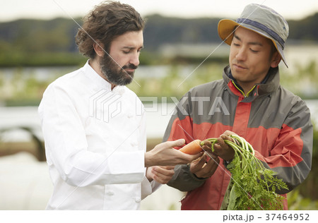 農家の男性と外国人シェフ 農家の男性と外国人シェフ 37464952