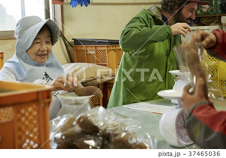 選果場　出荷作業　外国人男性 37465036
