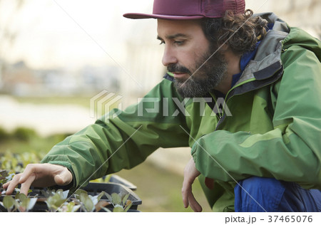 農業　苗　外国人男性 37465076