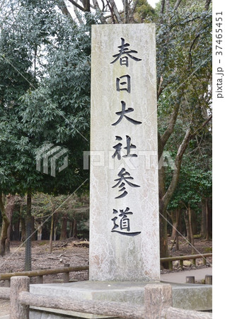 「春日大社 参道」の石碑（奈良県奈良市春日野町） 37465451