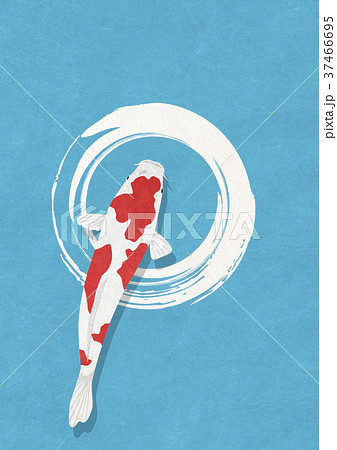 青和紙 錦鯉 青和紙 錦鯉 37466695