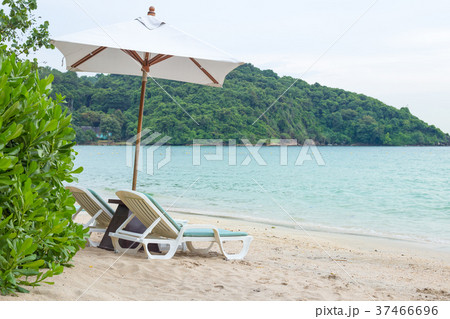 Beach chairs for vacations and relax at the beach 37466696