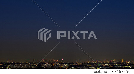 東京の夜景(サンシャイン60~都庁~スカイツリー~東京タワー) 東京の夜景(サンシャイン60~都庁~スカイツリー~東京タワー) 37467250