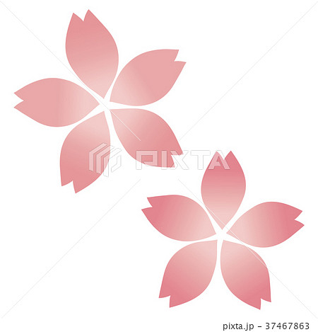 桜の花 二つ のイラスト素材 桜の花 二つ のイラスト素材