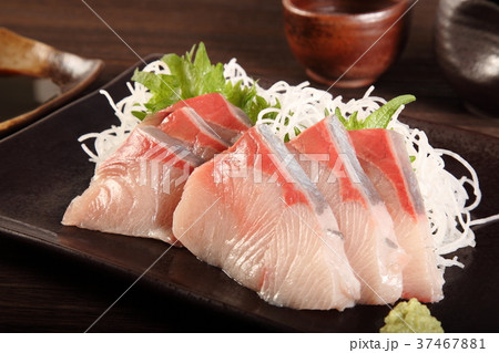 ブリ 37467881