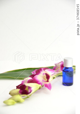 蘭の花とアロマオイルでビューティーイメージ 37468545