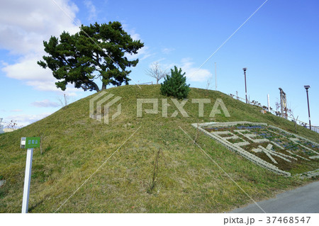 日和山    被災地  閖上地区 37468547