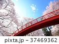 春日城跡 37469362
