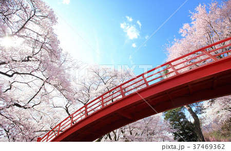 春日城跡 37469362