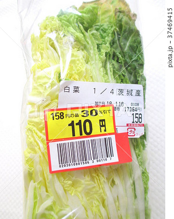 値下げ品　白菜　 37469415