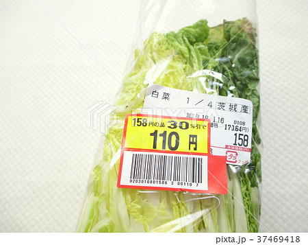 値下げ品 白菜 値下げ品 白菜 37469418