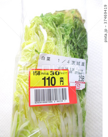 値下げ品　白菜　 37469419