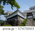 郡上八幡城 37470003