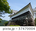 郡上八幡城2 37470004