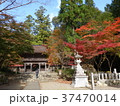 大矢田神社2 37470014