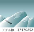 Mountain Feather 37470852