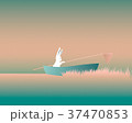 Rabbit traveler 37470853