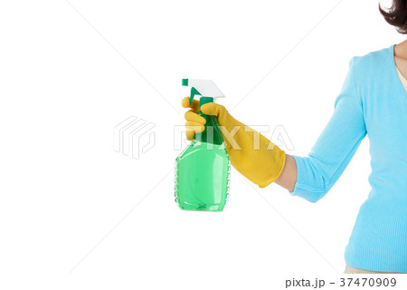 Housemaid with Spray Cleaner 37470909