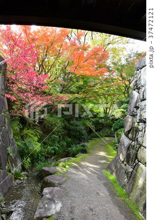 秋の丈山苑　詩泉閣 37472121