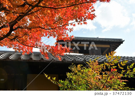 秋の丈山苑 詩泉閣 秋の丈山苑 詩泉閣 37472130