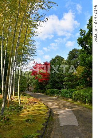 秋の丈山苑　詩泉閣 37472146