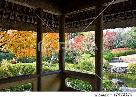 秋の丈山苑　詩泉閣 37472179