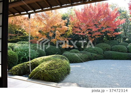 秋の丈山苑　詩泉閣 37472314