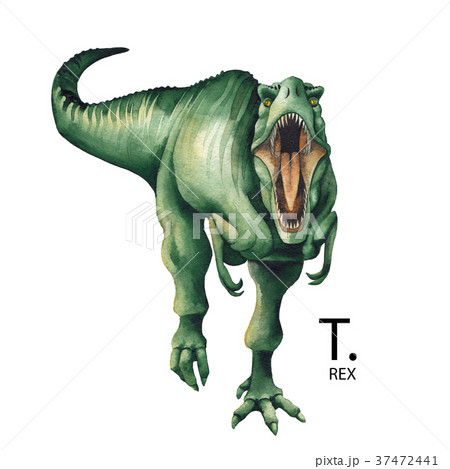 Realistic watercolor dinosaurのイラスト素材 [37472441] - PIXTA